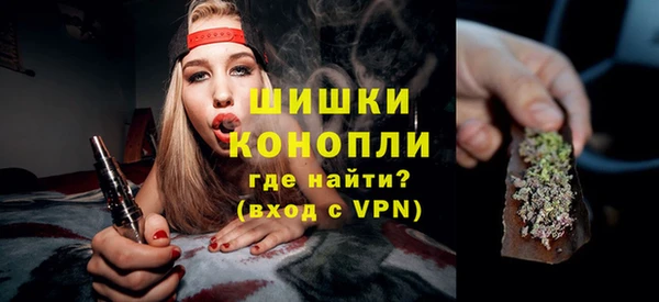 прущие грибы Верхний Тагил
