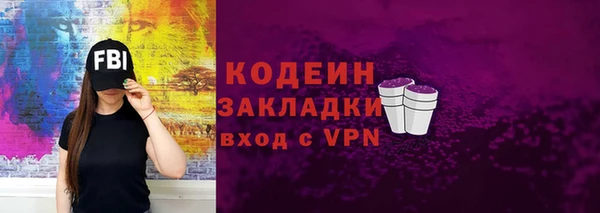прущие грибы Верхний Тагил