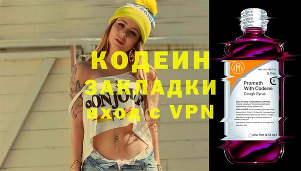 прущие грибы Верхний Тагил