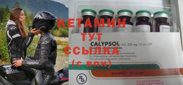 прущие грибы Верхний Тагил